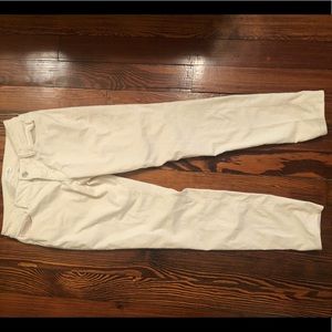 Loft corduroy pants